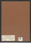 Denticella macdonaldi (Norm.) (de-Toni-Nr.: Genus 125, Species 3529) Zeichnungen Sammlung Grunow Mappe 03710 (Herbarium_W_Grunow_drawings_Folder_03710)